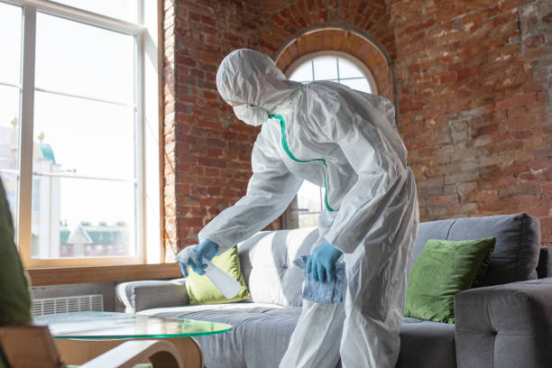 Best Mold Remediation for Vacation Homes  in Sophia, WV