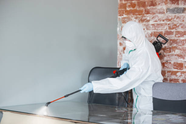 Best Mold Removal for HVAC Installations  in Sophia, WV