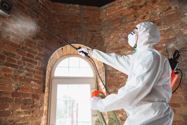 Best Forensic Mold Investigation  in Sophia, WV