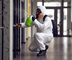 Best Basement Mold Removal  in Sophia, WV